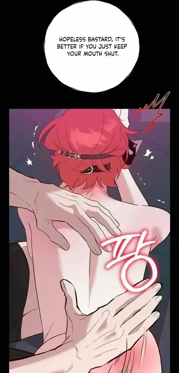 Don