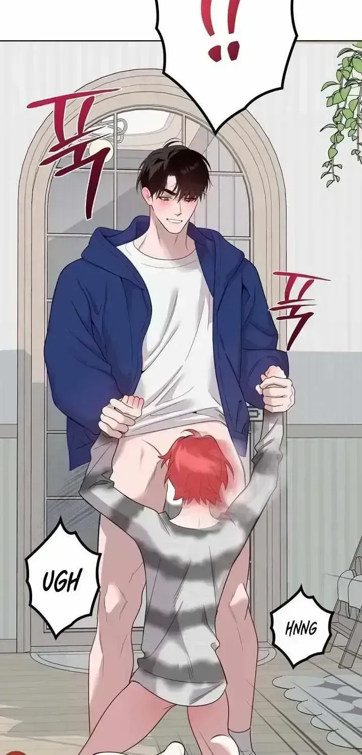 Don