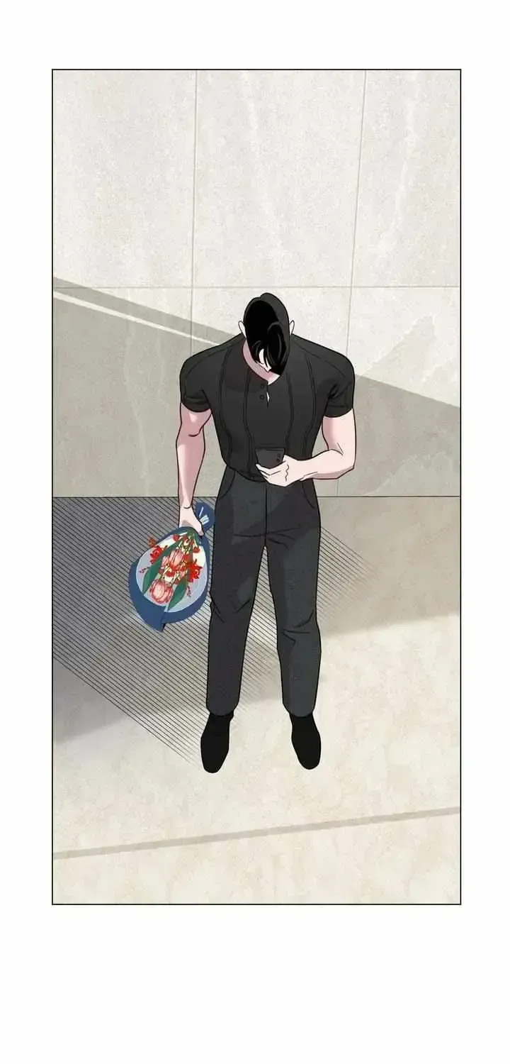Don