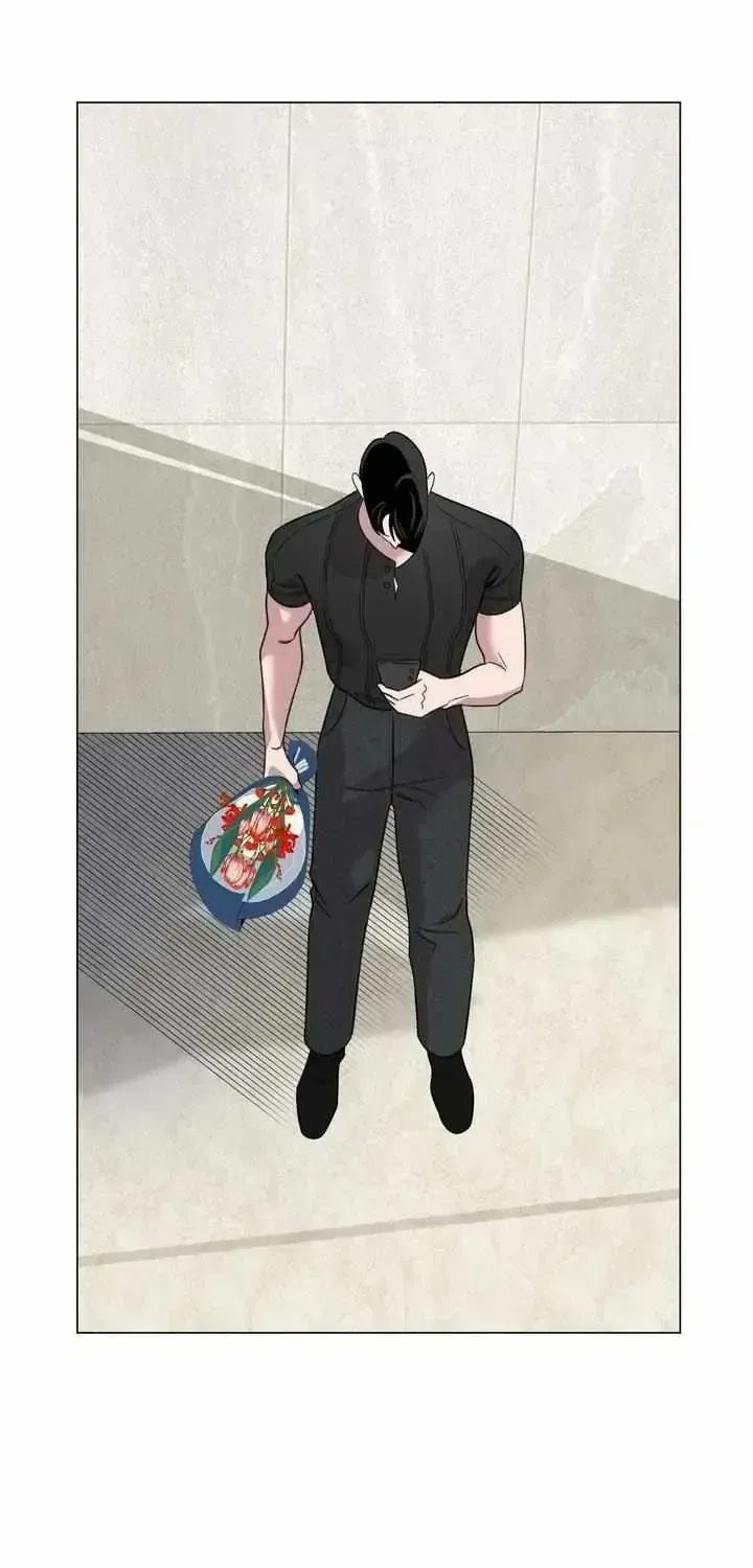 Don