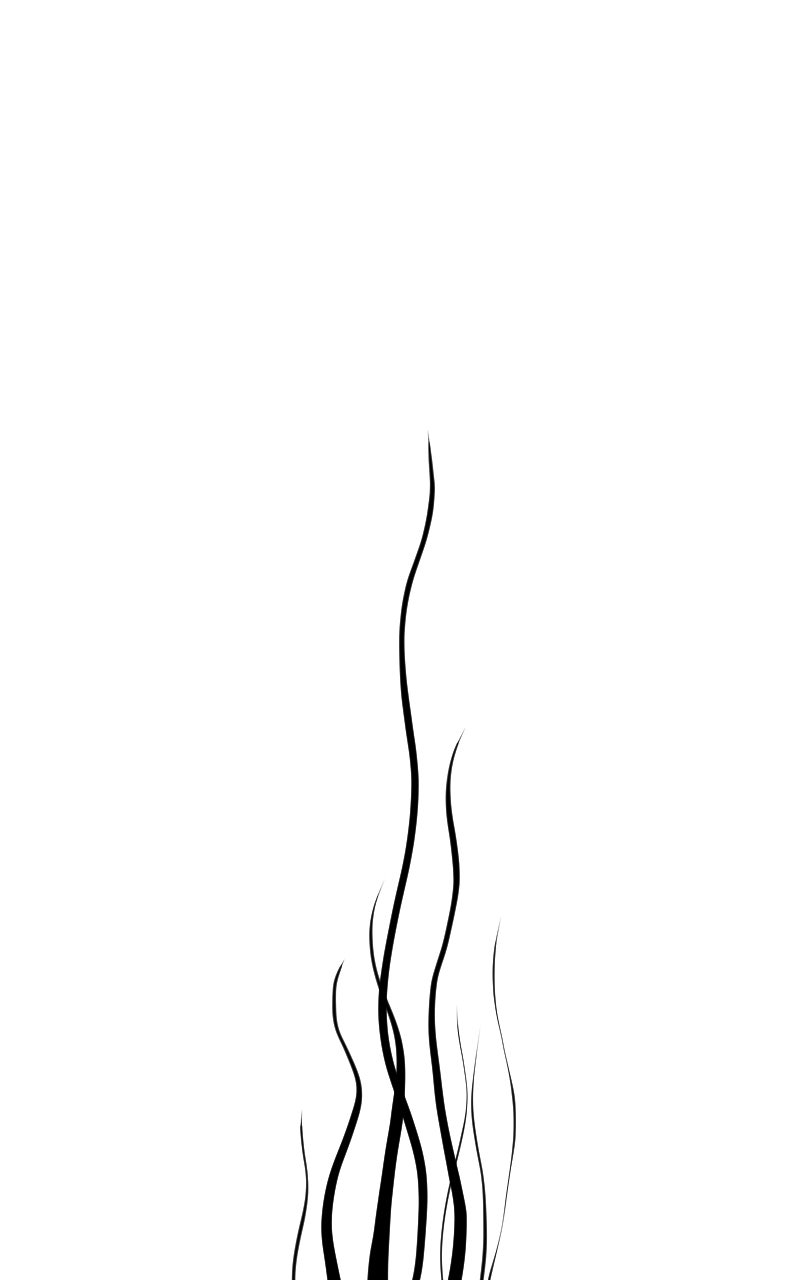 Don