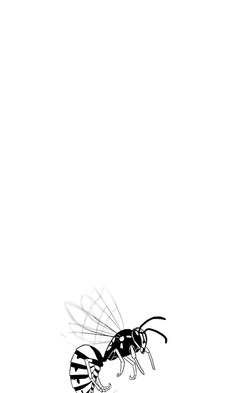 Don