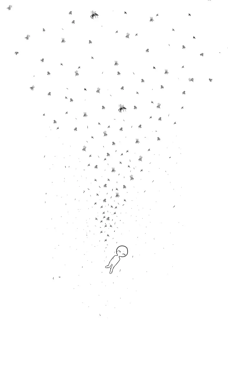 Don