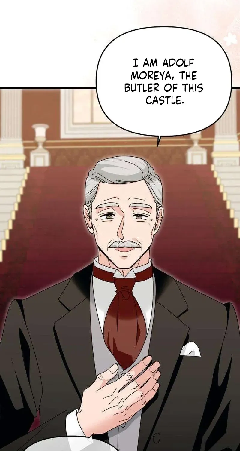 Don