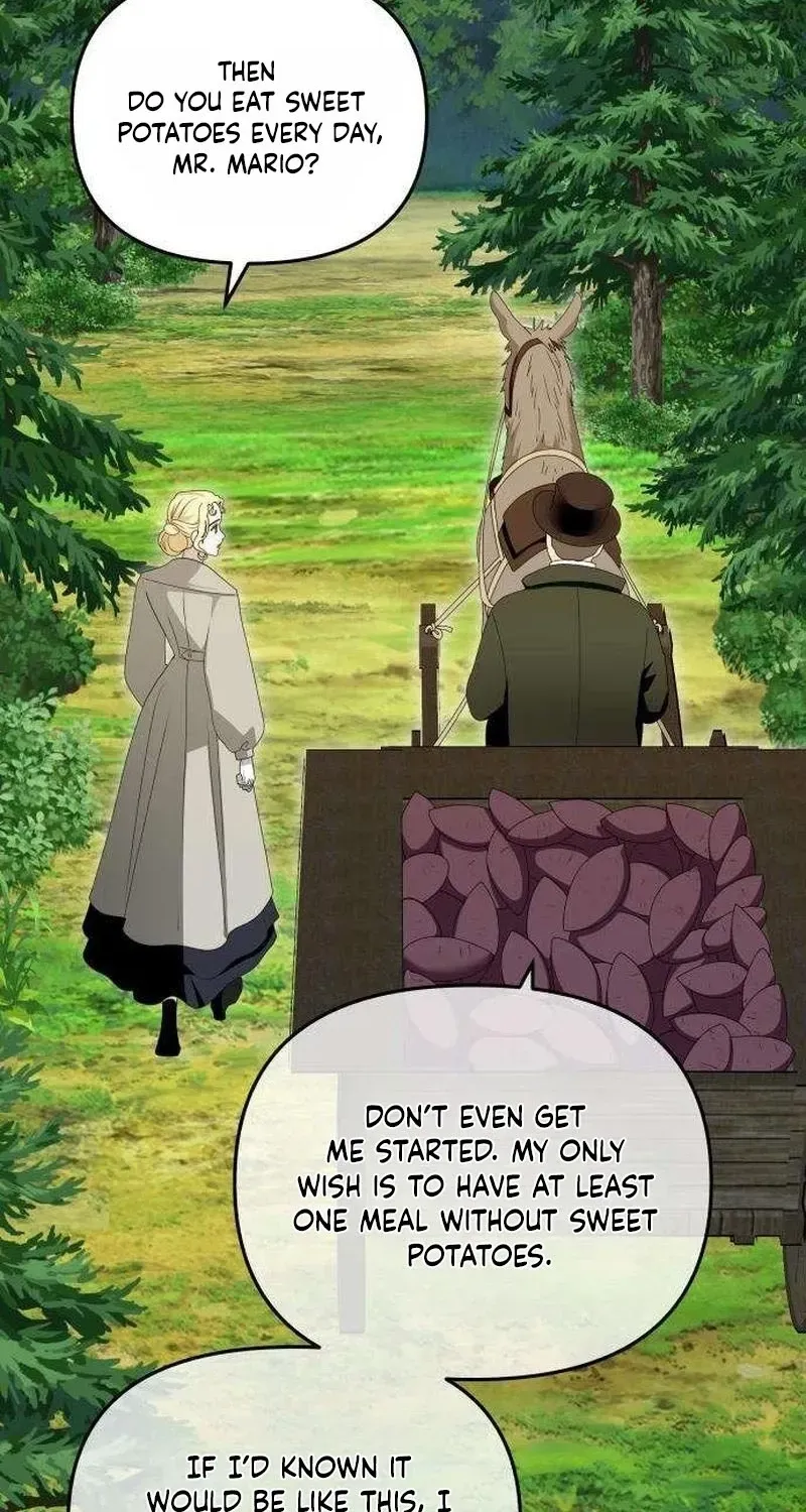 Don