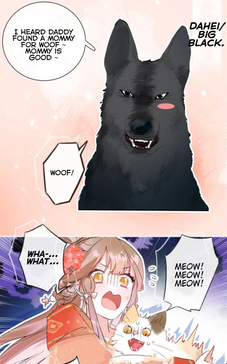 Don