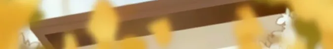 Don