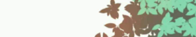 Don
