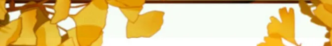 Don