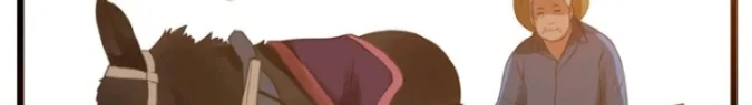 Don