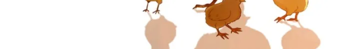 Don