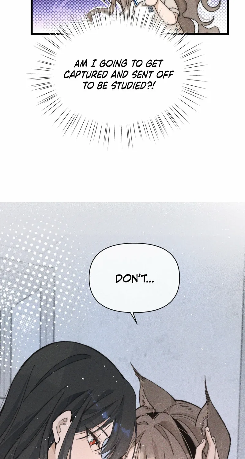 Don