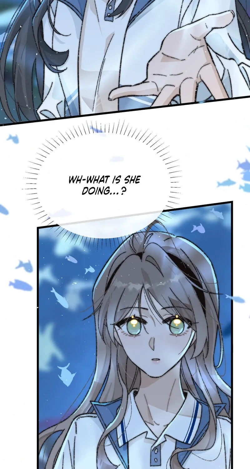 Don
