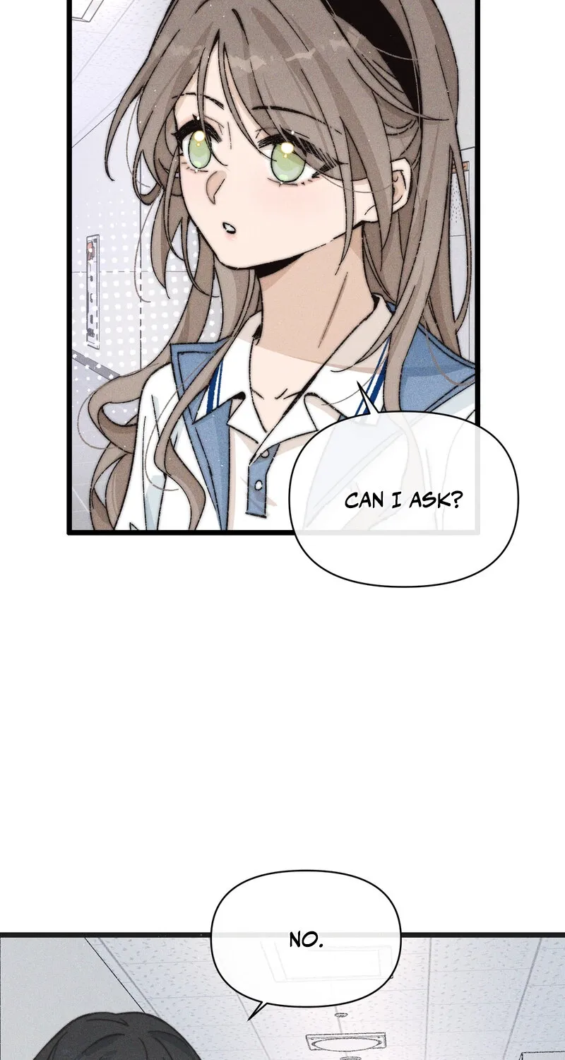 Don