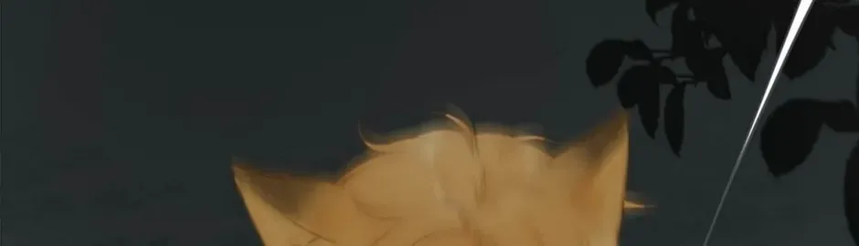 Don