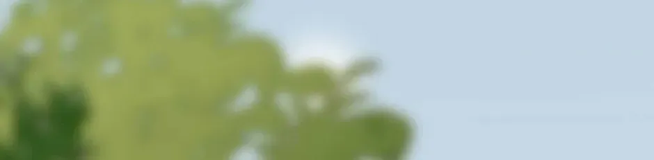Don