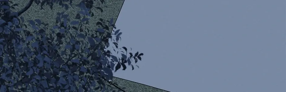 Don