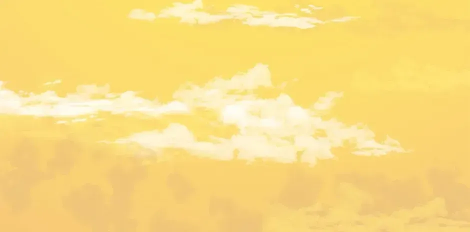 Don