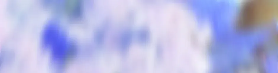 Don