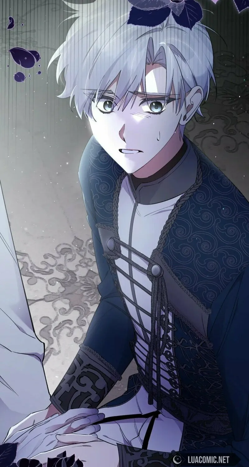 Don
