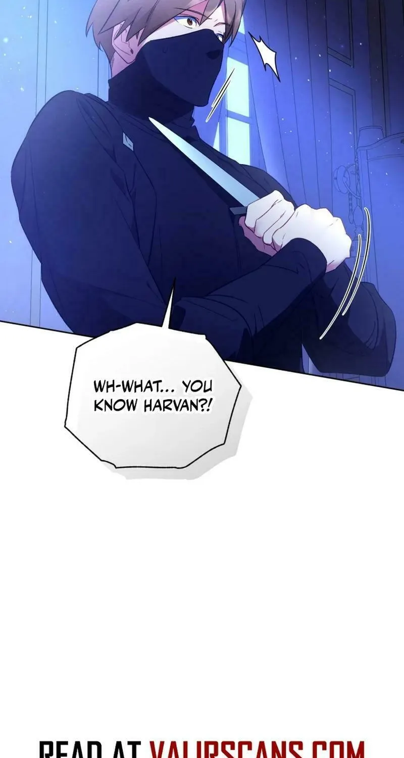 Don