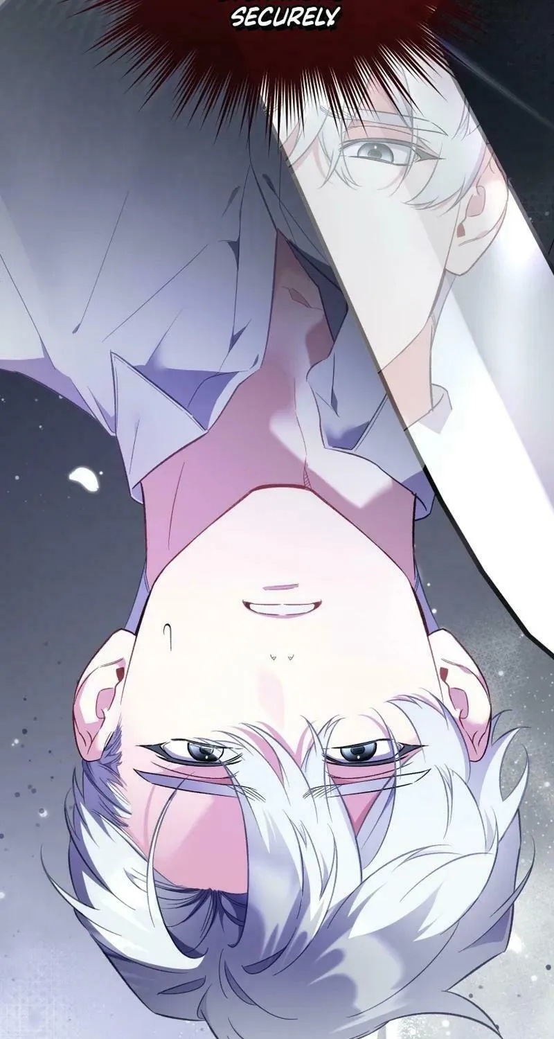 Don