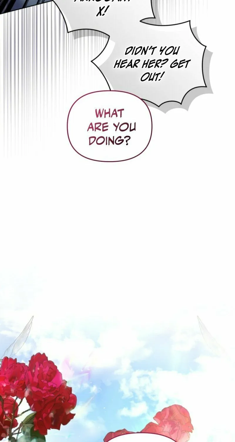 Don