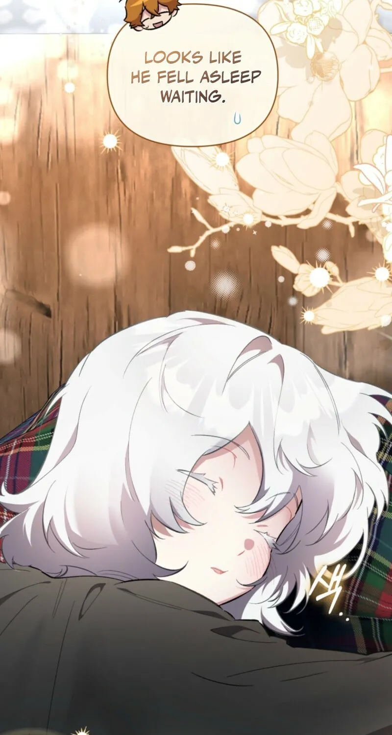 Don