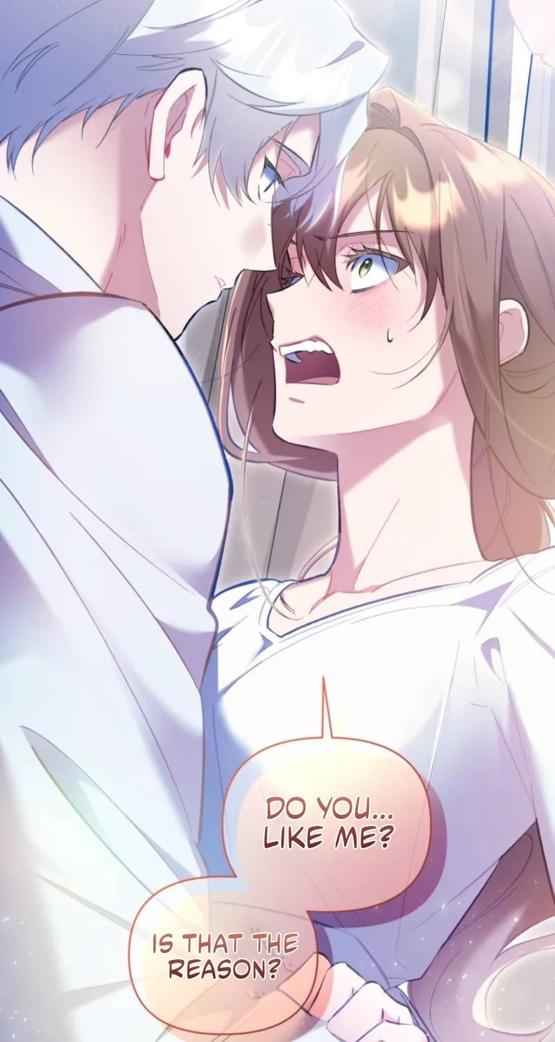 Don