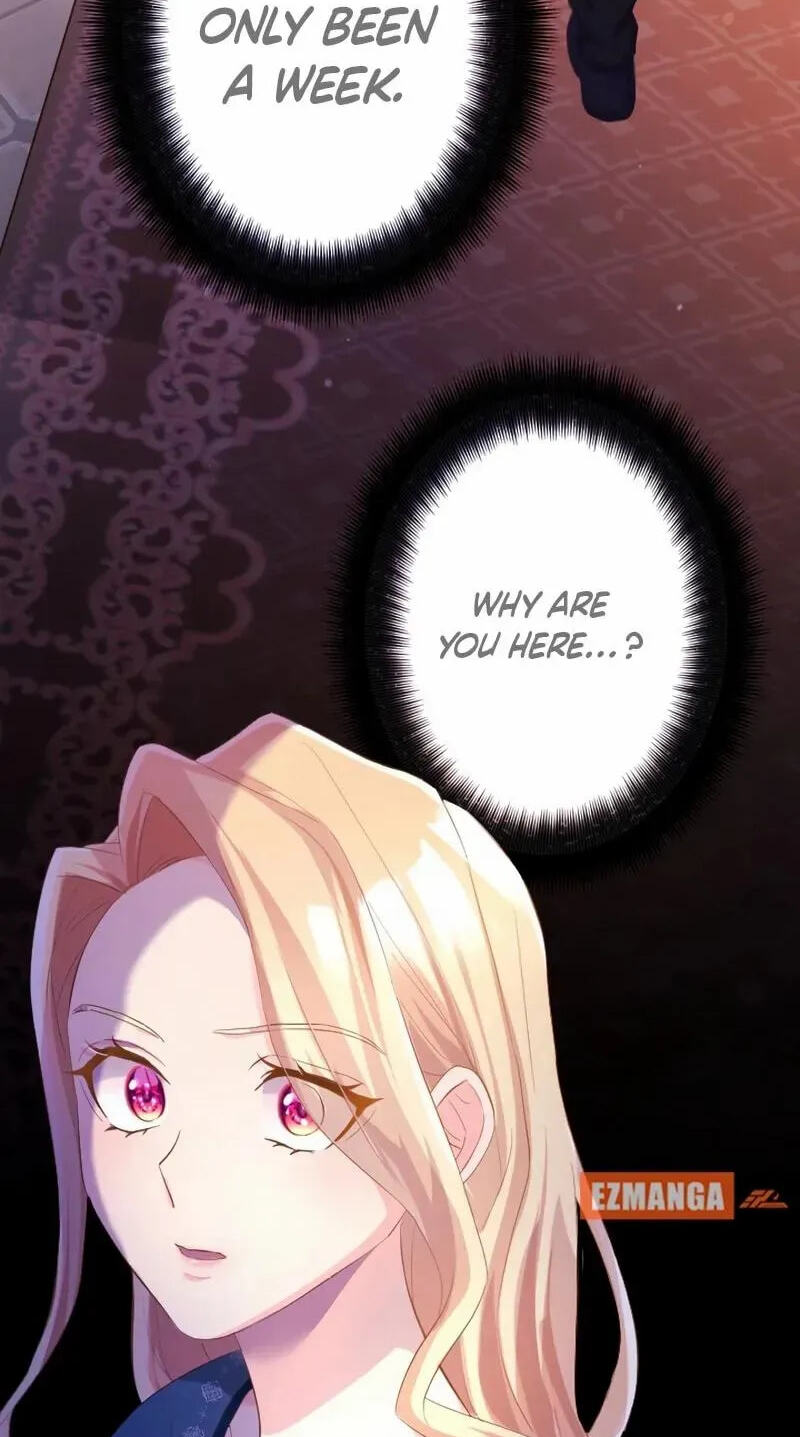  Chapter 13 page 5 - 