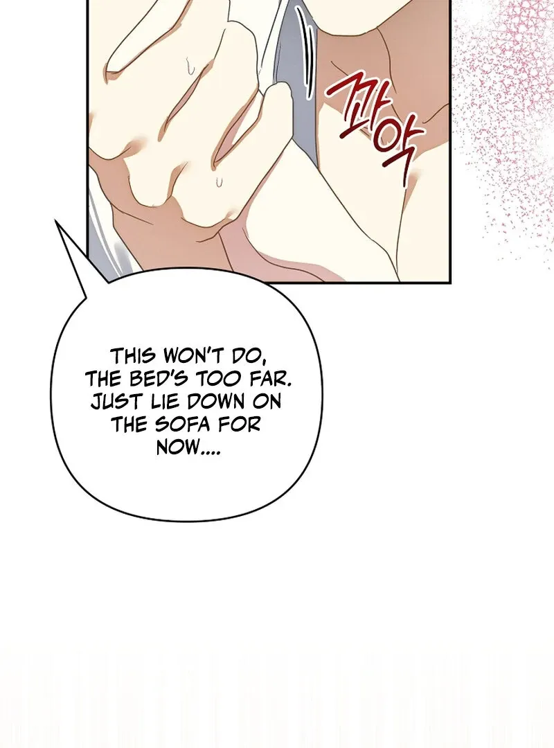 Don’t Feed Cookies to a Starving Wolf Chapter 1 page 102 - 
