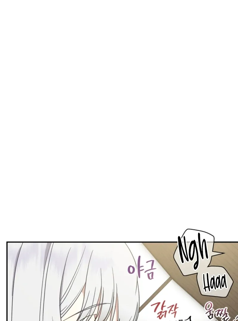 Don’t Feed Cookies to a Starving Wolf Chapter 4 page 41 - 