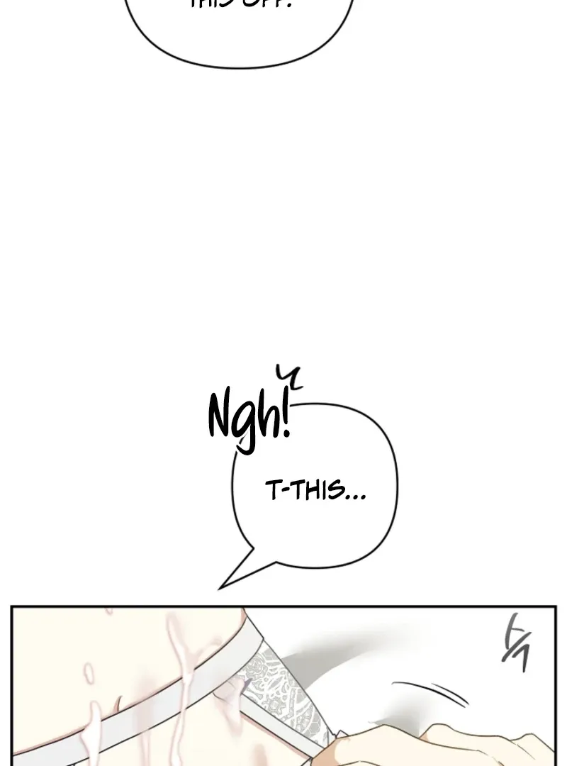 Don’t Feed Cookies to a Starving Wolf Chapter 4 page 69 - 
