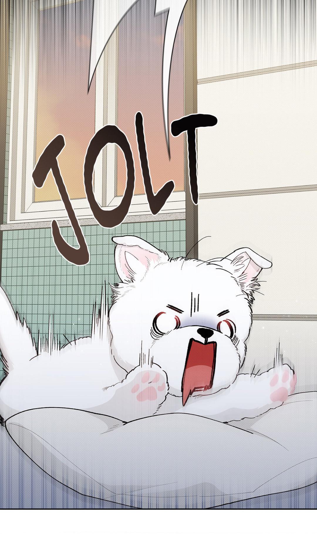 Don’t Mess With the Pooch! Chapter 1.2 page 17 - 