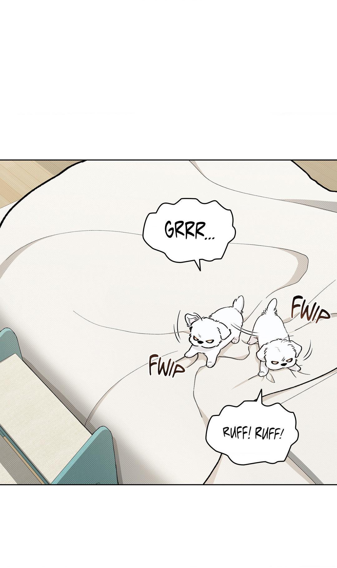 Don’t Mess With the Pooch! Chapter 1.2 page 18 - 