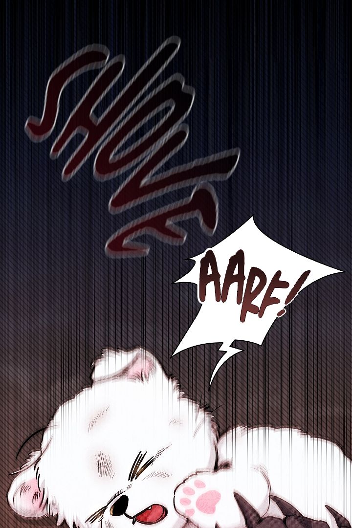 Don’t Mess With the Pooch! Chapter 1 page 12 - 