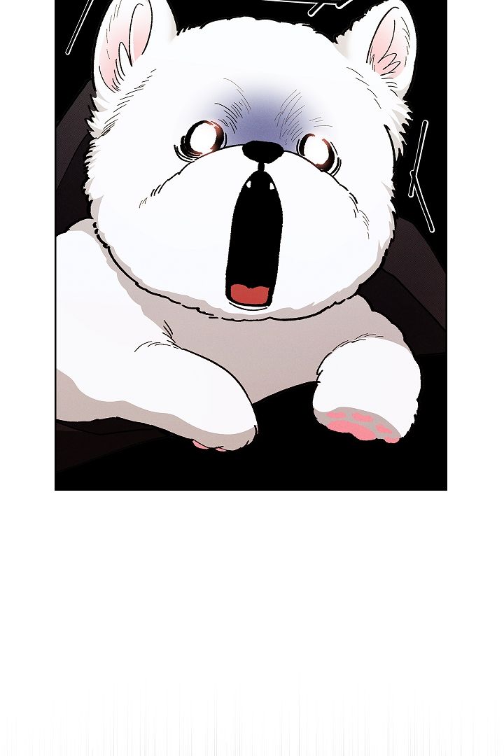 Don’t Mess With the Pooch! Chapter 1 page 111 - 
