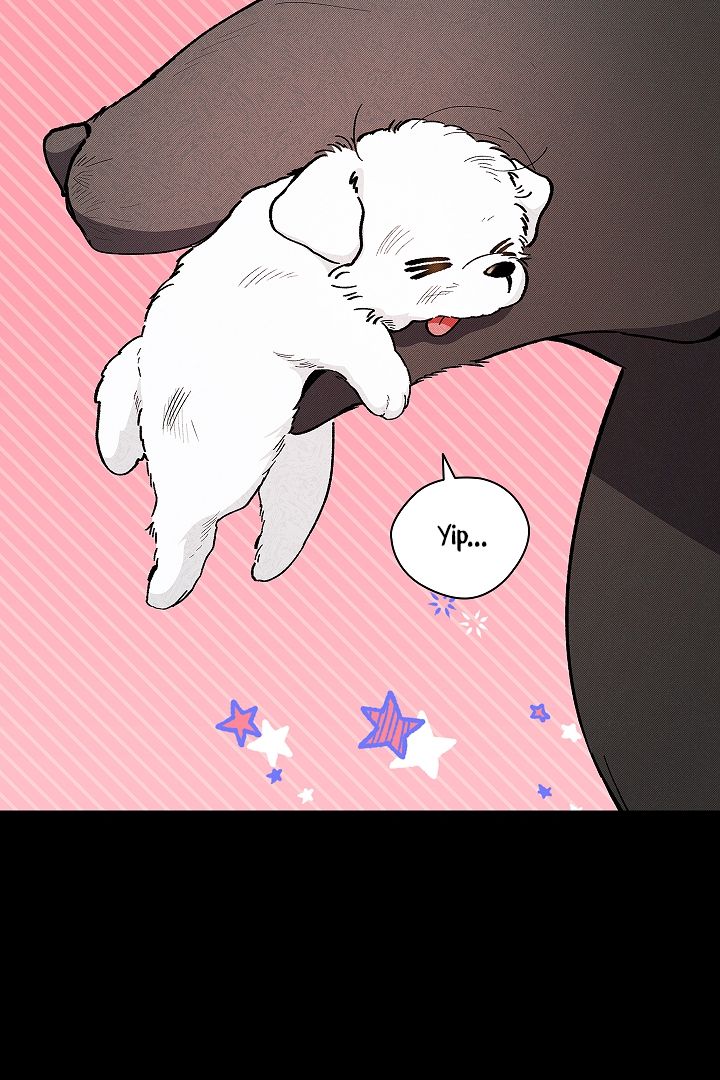 Don’t Mess With the Pooch! Chapter 1 page 21 - 