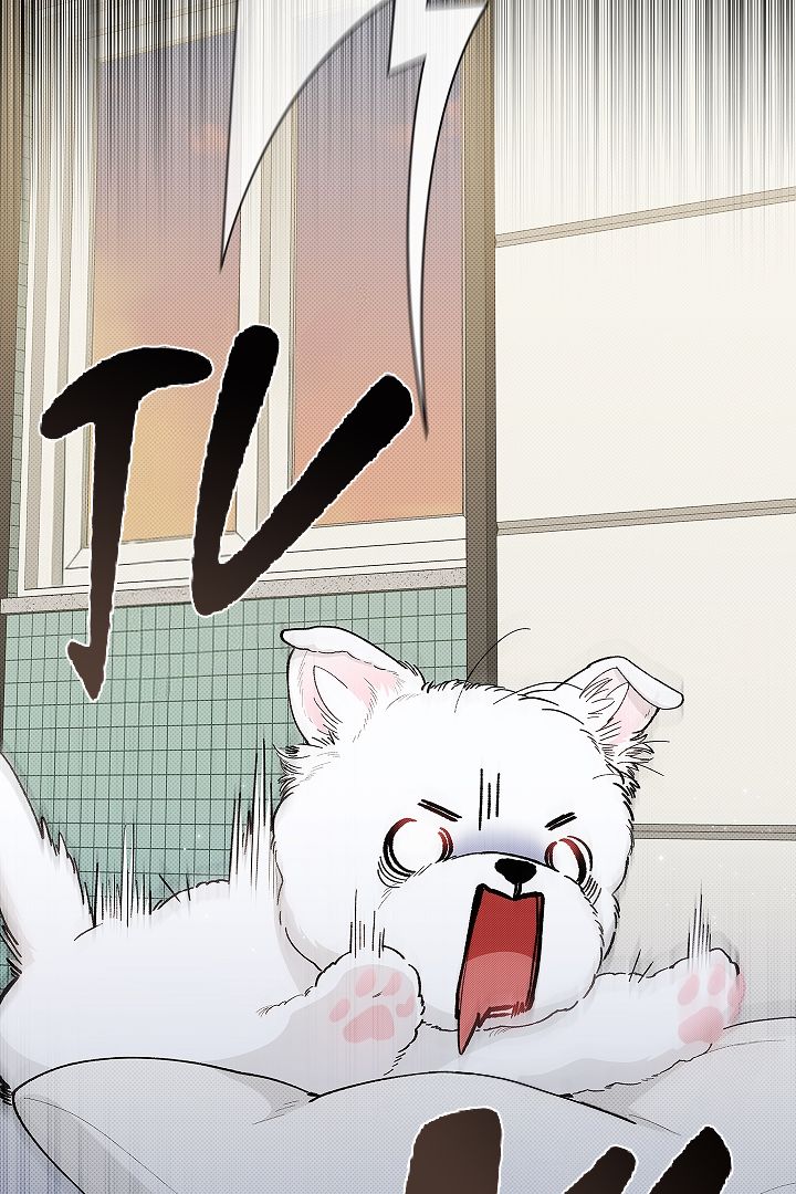 Don’t Mess With the Pooch! Chapter 1 page 23 - 