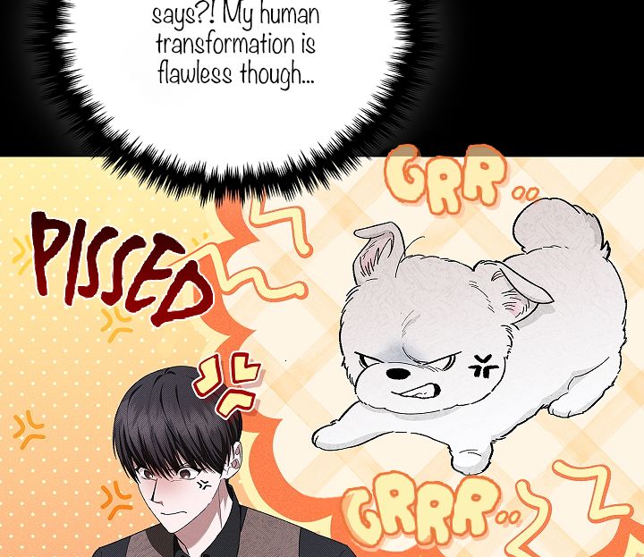 Don’t Mess With the Pooch! Chapter 1 page 57 - 
