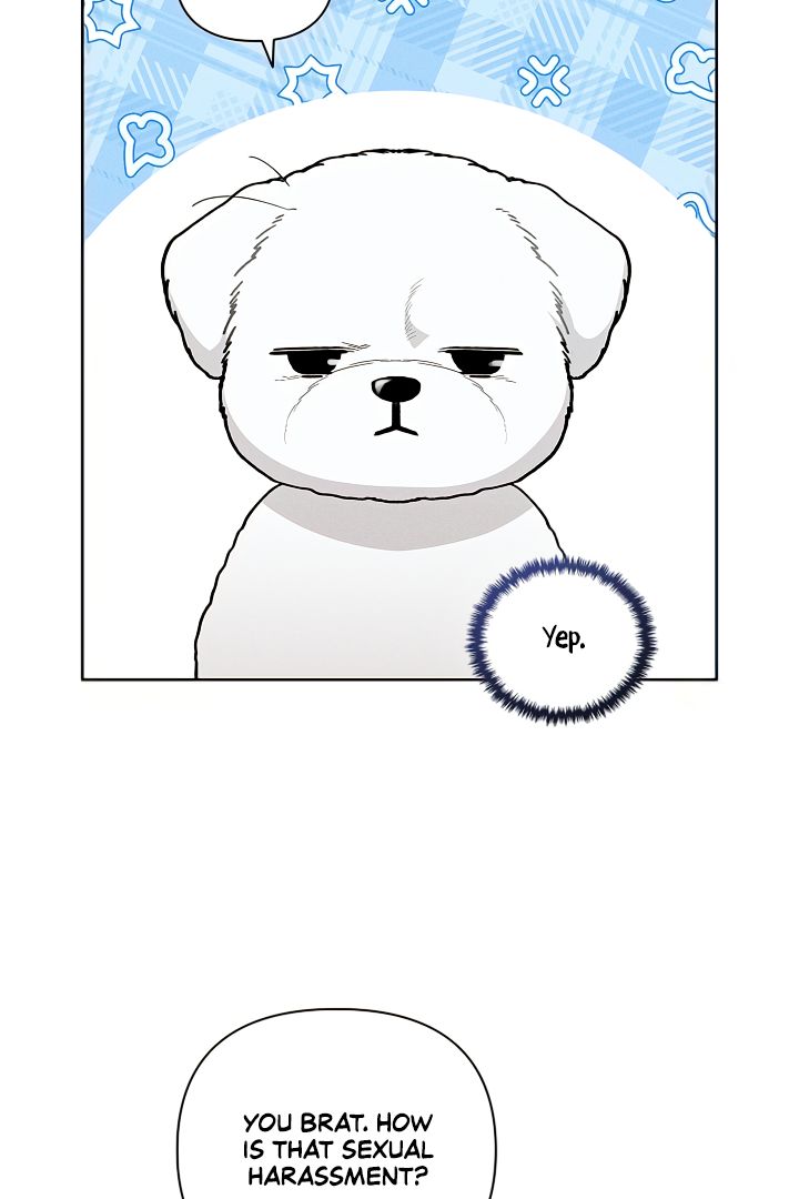 Don’t Mess With the Pooch! Chapter 2 page 5 - 