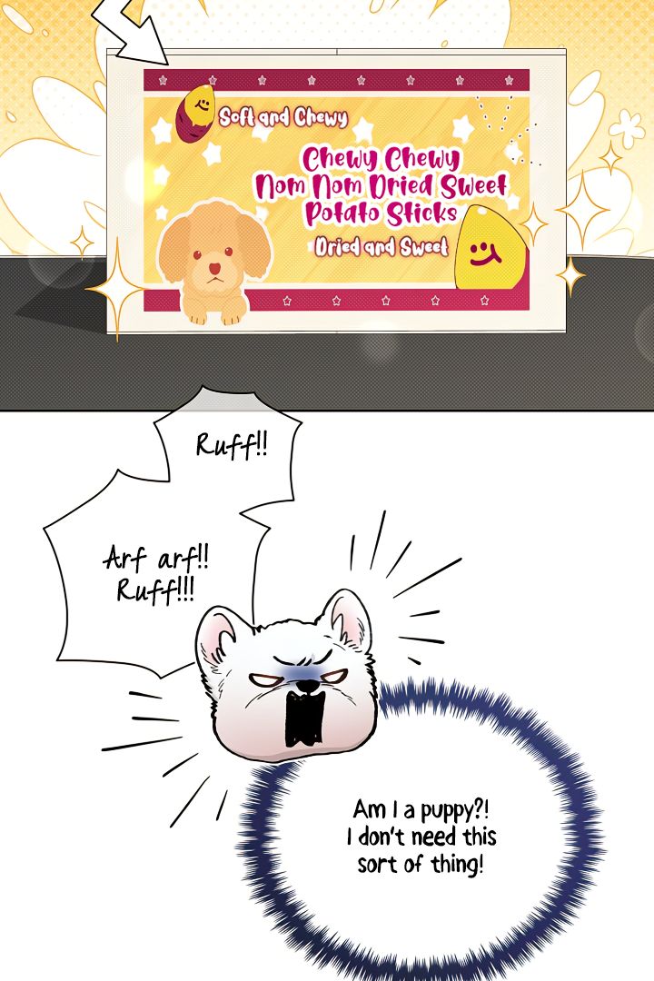 Don’t Mess With the Pooch! Chapter 2 page 9 - 