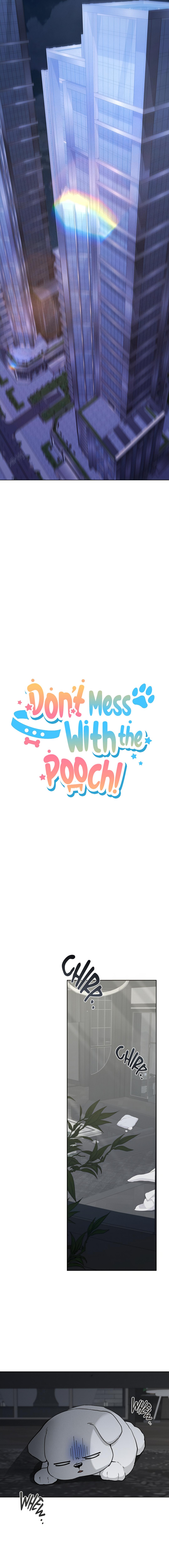 Don’t Mess With the Pooch! Chapter 33.7 page 11 - 
