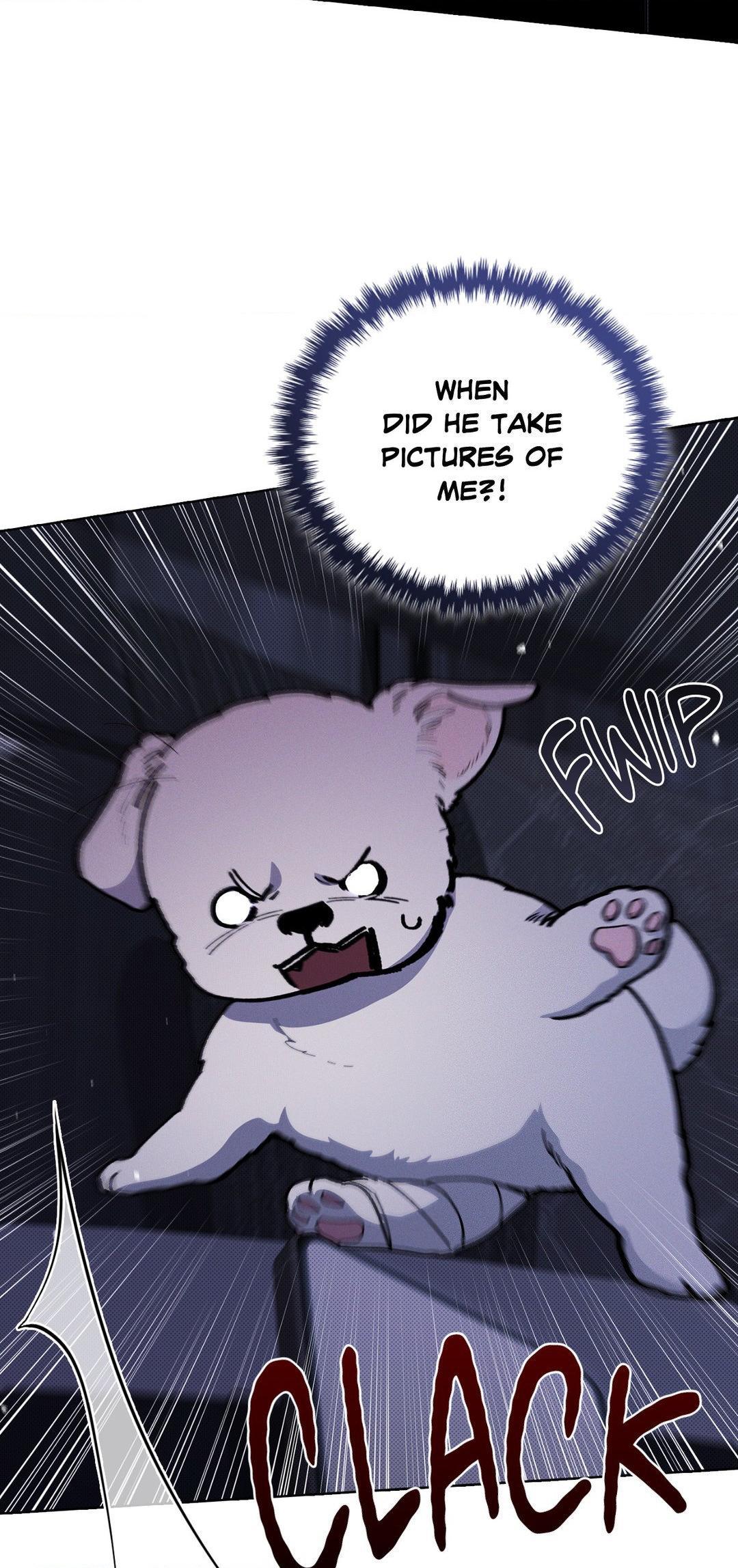 Don’t Mess With the Pooch! Chapter 4.2 page 43 - 