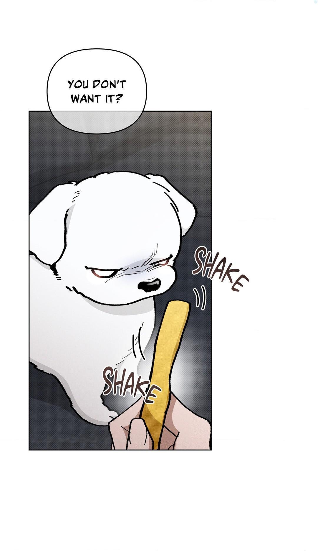 Don’t Mess With the Pooch! Chapter 4.2 page 85 - 