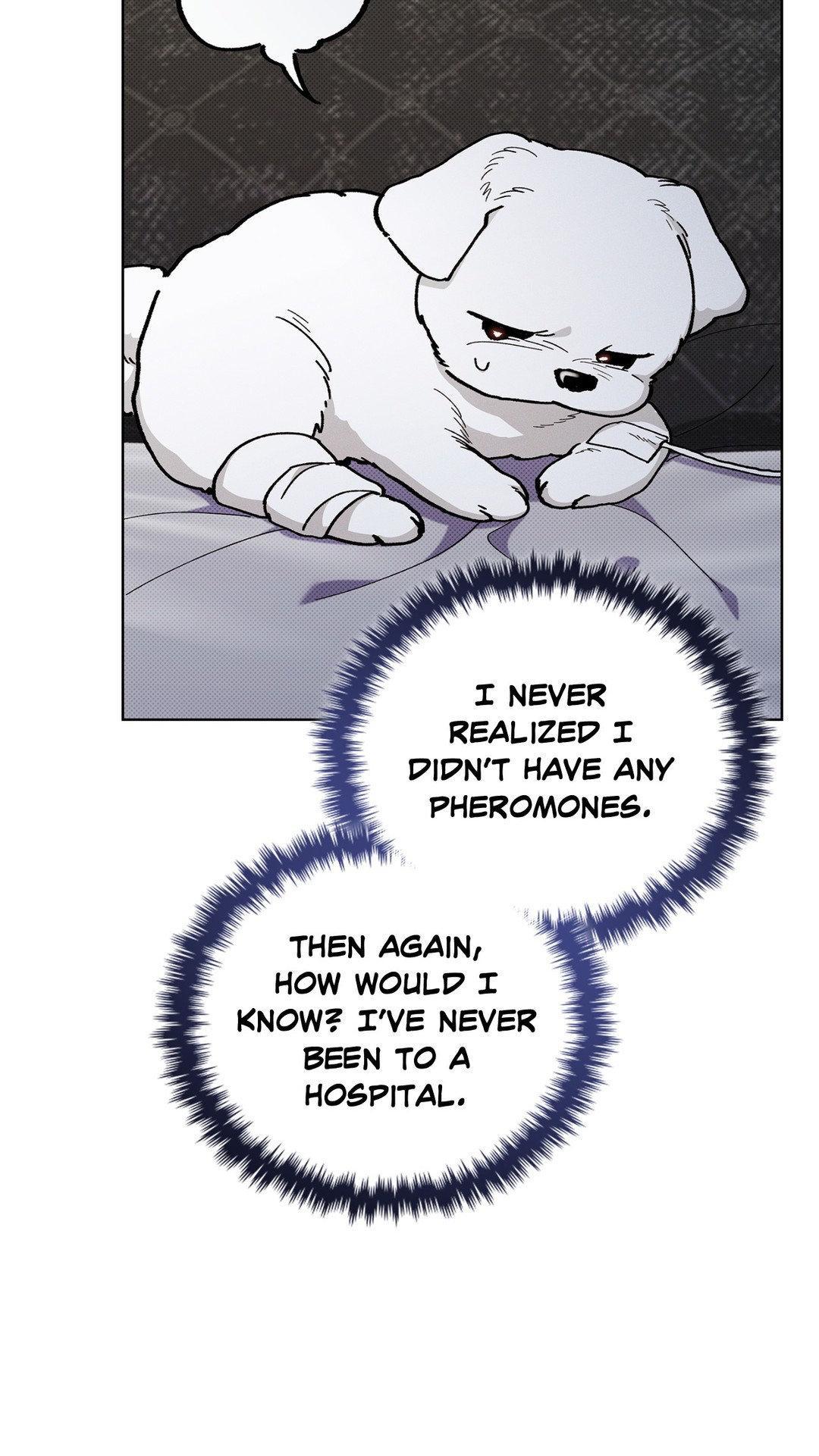 Don’t Mess With the Pooch! Chapter 4.2 page 10 - 