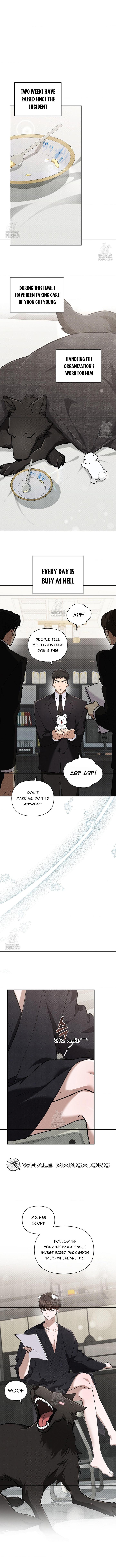 Don’t Mess With the Pooch! Chapter 44.1 page 3 - 