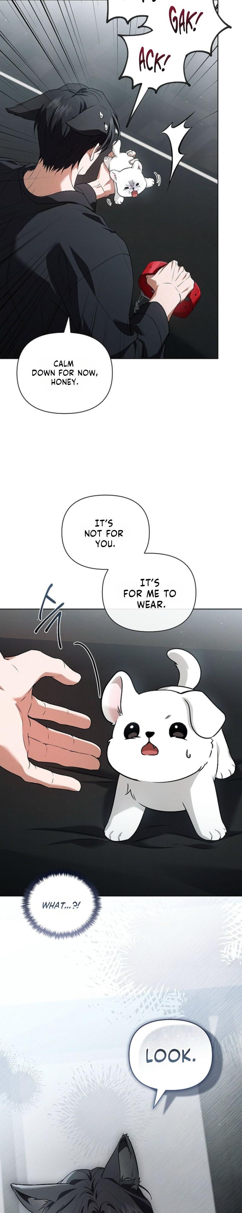 Don’t Mess With the Pooch! Chapter 45.7 page 18 - 