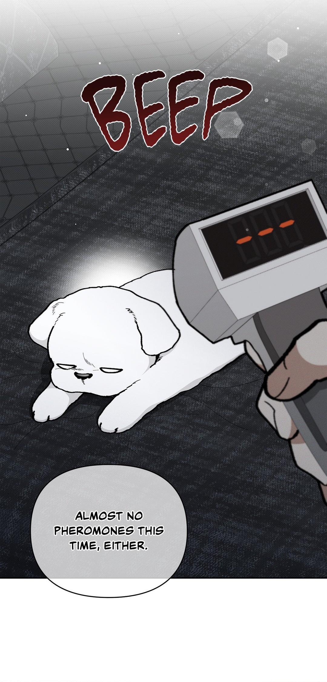 Don’t Mess With the Pooch! Chapter 7.2 page 14 - 