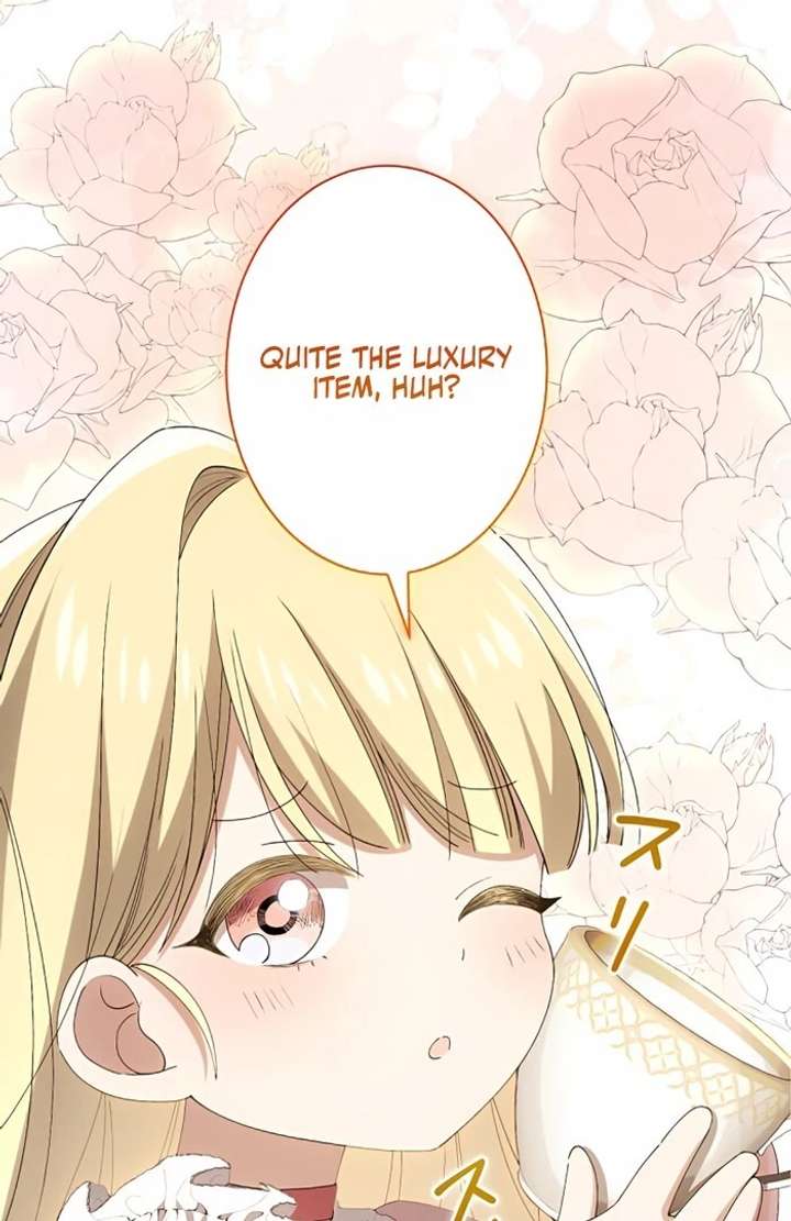 Don’t Obsess Over the Fake Princess! Chapter 1 page 105 - 